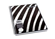 CUADERNO ESTRELLA FRANCESA 100HJS C7 184 - Código: 184 | Compra en Guadalajara