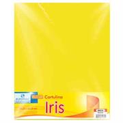 CARTULINA EUROMAC IRIS AMARILLO 50X65CM C/10 EI0035 - Código: EI0035 | Compra en Guadalajara