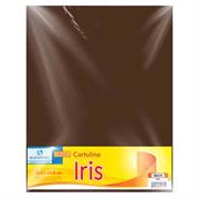 CARTULINA EUROMAC IRIS CAFE 50X65CM C/10 EI0039 - Código: EI0039 | Compra en Guadalajara