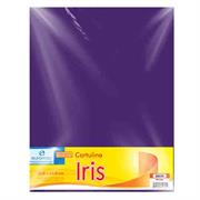 CARTULINA EUROMAC IRIS MORADO 50X65CM C/10 EI0040 - Código: EI0040 | Compra en Guadalajara