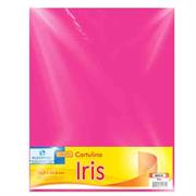 CARTULINA EUROMAC IRIS ROSA 50X65CM C/10 EI0044 - Código: EI0044 | Compra en Guadalajara