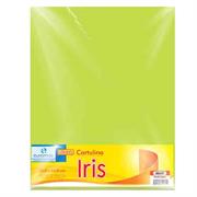 CARTULINA EUROMAC IRIS VERDE LIMON 50X65 C/10 EI0047 - Código: EI0047 | Compra en Guadalajara