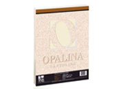 Cartulina Opalina Facia Carta Marfil C/100 225GR - CARTULINA OPALINA CARTA MARFIL