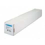 Papel HP Heavy Weight 24" LF Coated - C6029C
