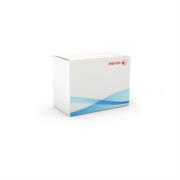 Kit Inicialización Xerox 35PPM MFP Metered 7MX - Código: 7MX | Compra en Guadalajara